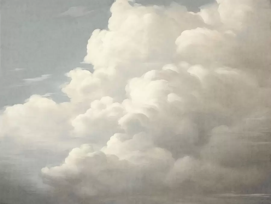 Fototapete Perlfarbener Nebel mit sanften, cremigen Wolken, die über einen ruhigen Himmel ziehen w05855
