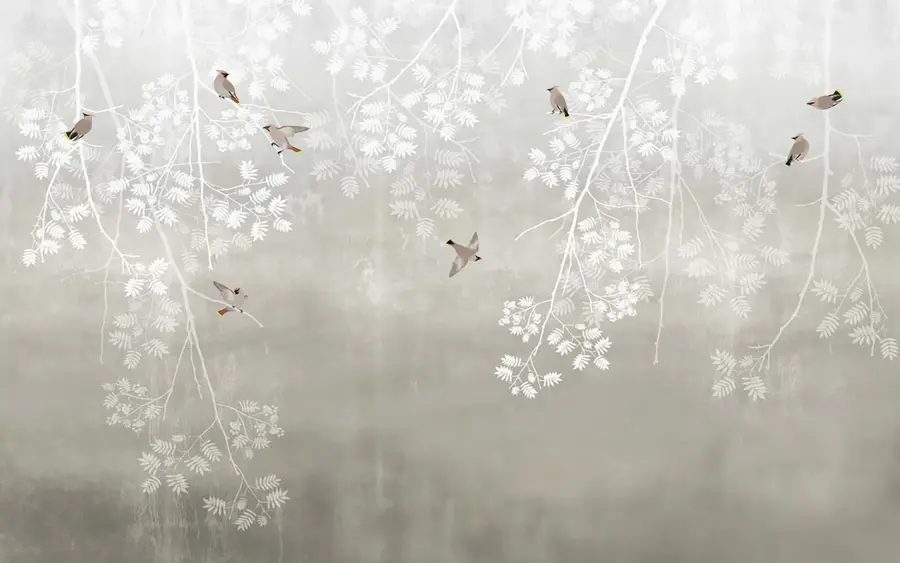 Fototapete Organismus, Gras und Landpflanze u19485