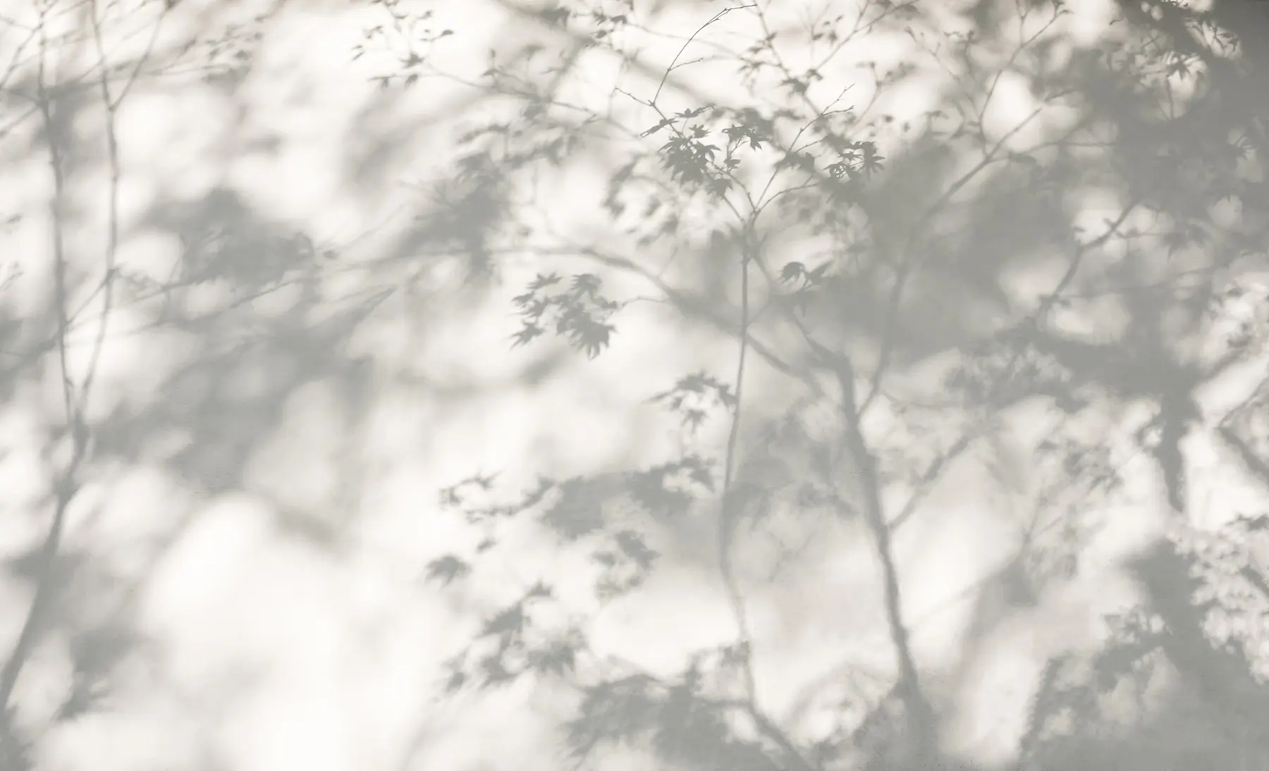 Murale Ombre sur le mur u79829