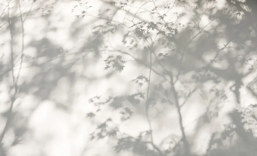 fototapeter Skygge på væggen u79829