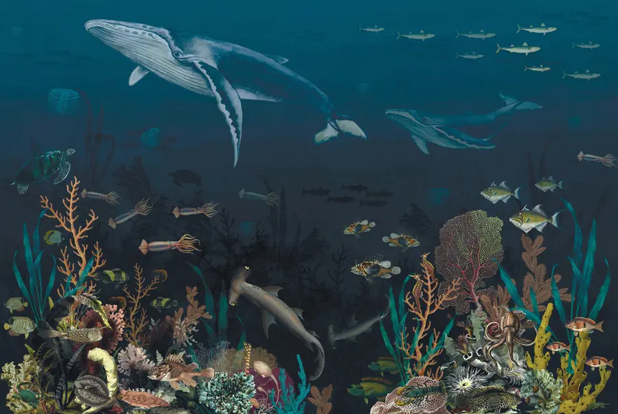 fototapeter Beboere i havet u73581