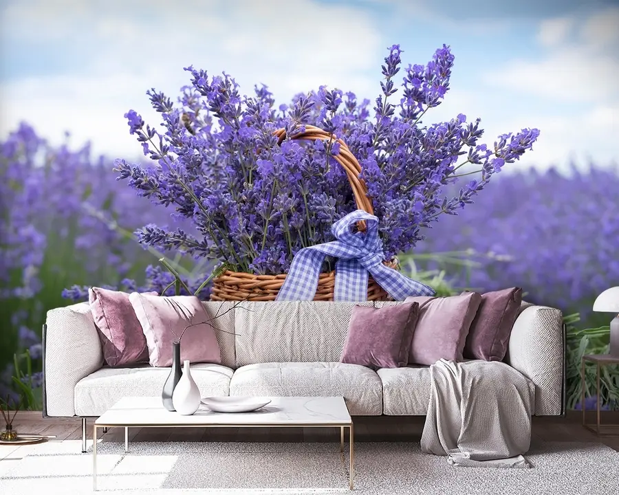 Fototapete Korb mit Lavendel u92974