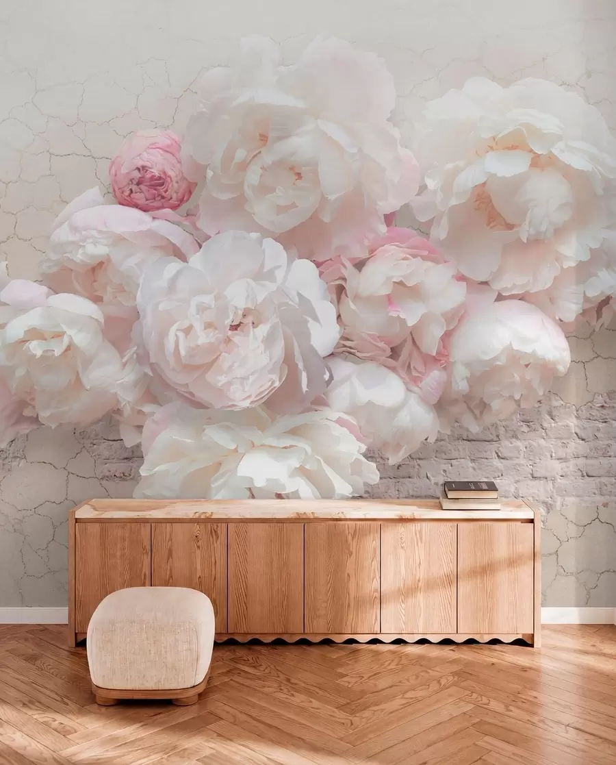 Murale Des pivoines blanches sur un mur délabré u79549