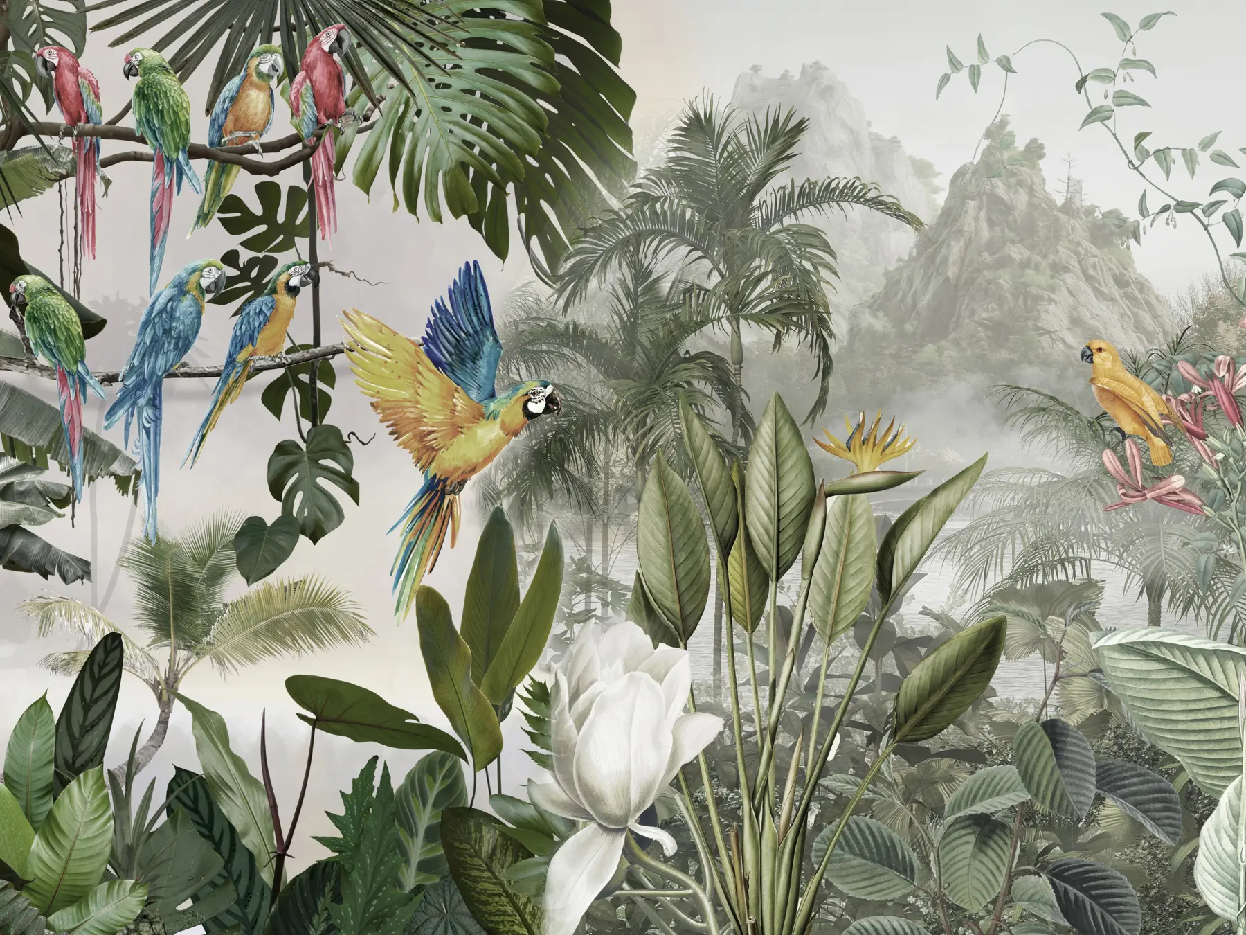 fototapeter Papegøjer i regnskoven u95693