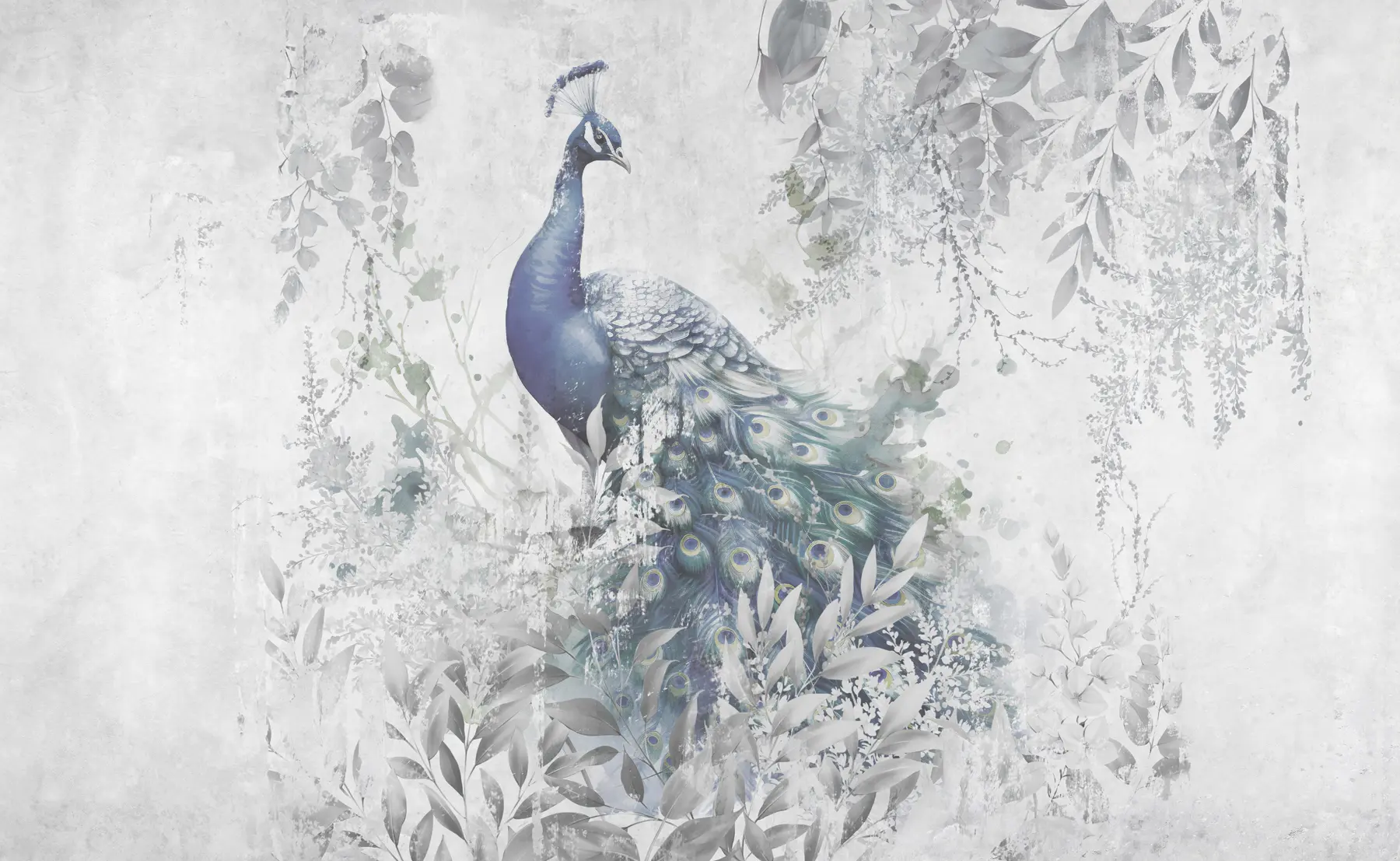 fototapeter Skrøbelig påfugl på grunge betonbaggrund u96727