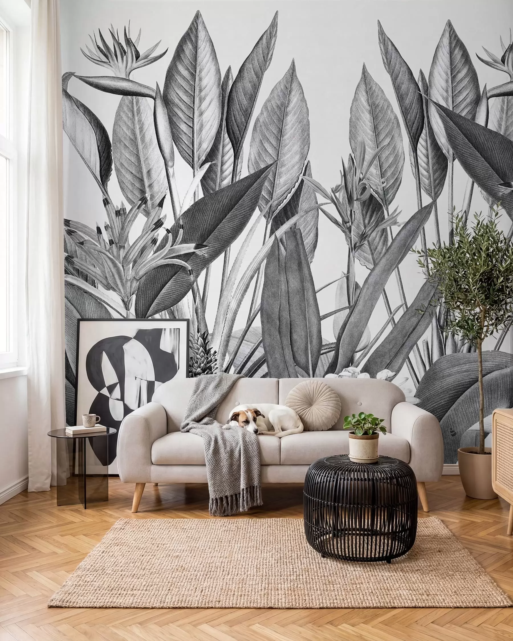 fototapeter Tropiske jungleplanter i sort og hvid farve u96833