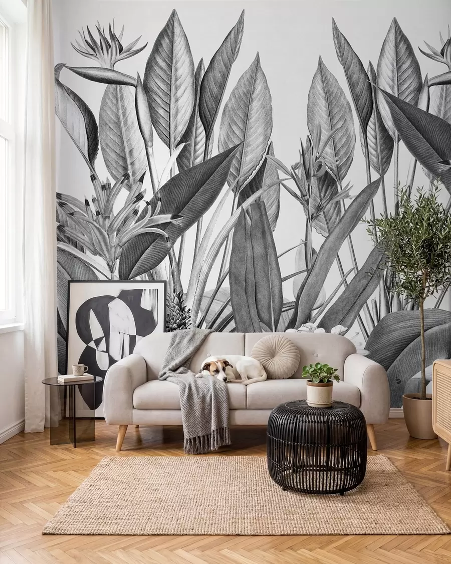 fototapeter Tropiske jungleplanter i sort og hvid farve u96833