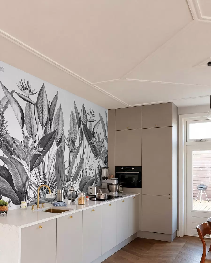 fototapeter Tropiske jungleplanter i sort og hvid farve u96833