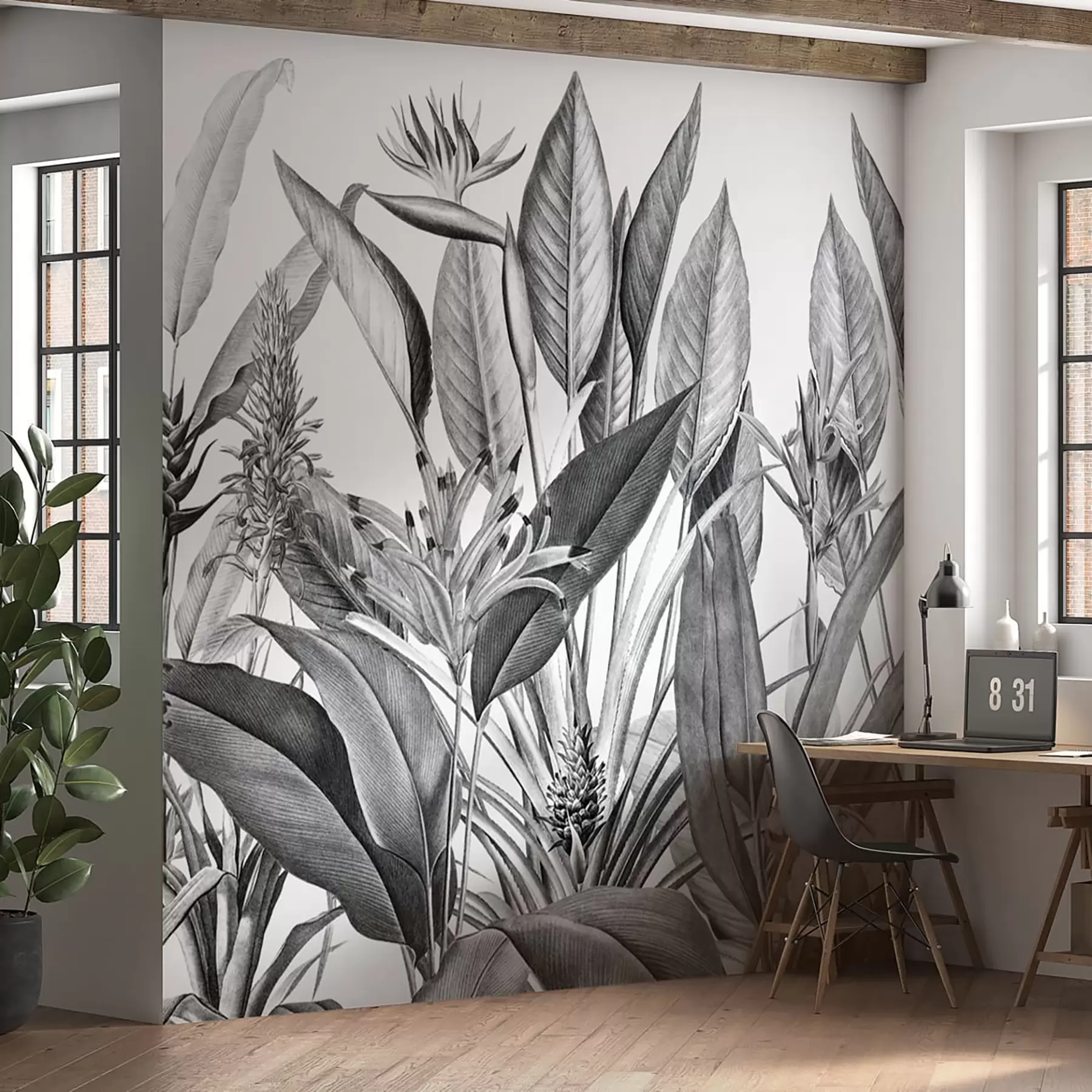 fototapeter Tropiske jungleplanter i sort og hvid farve u96833
