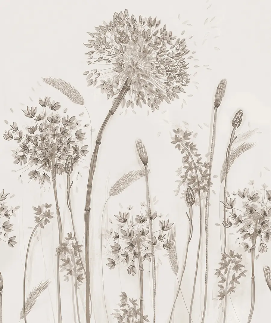 fototapeter Store engblomster af mælkebøtter monokrom stil loft minimalisme u96934