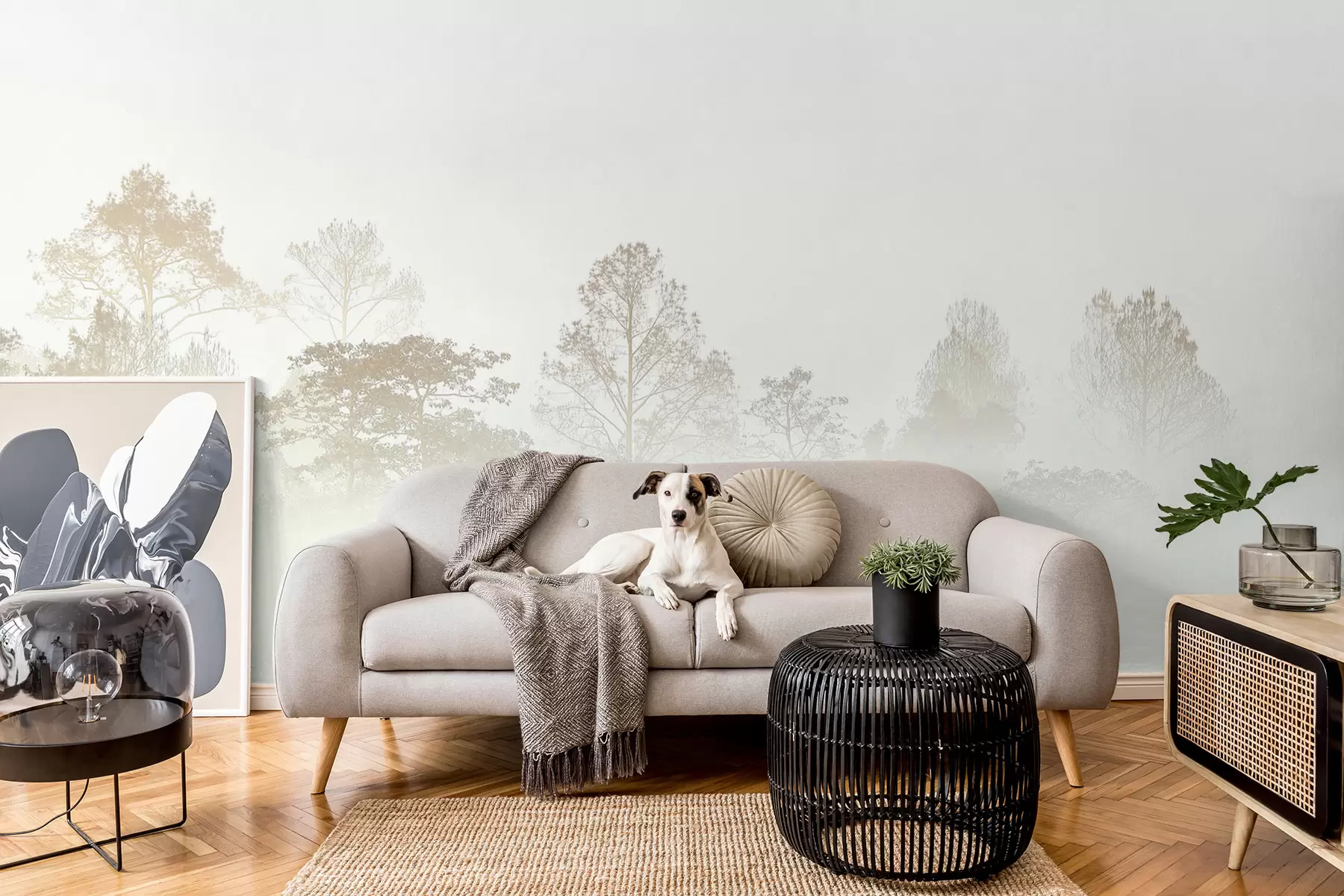 fototapeter Silhuet af lund af træer i tyk hvid morgentåge u97405