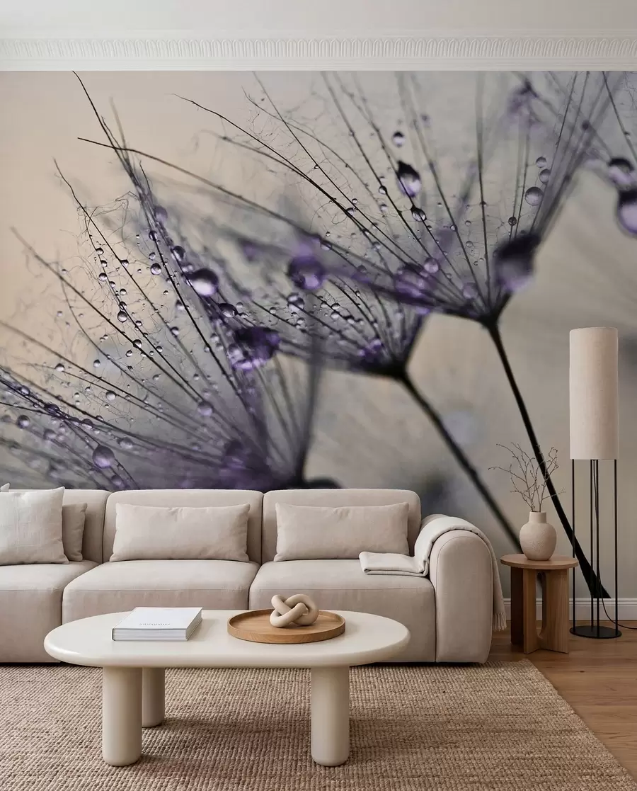 Murale Pissenlits avec gouttes d'eau violettes u57557v3