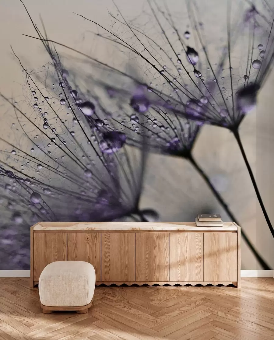 Murale Pissenlits avec gouttes d'eau violettes u57557v3